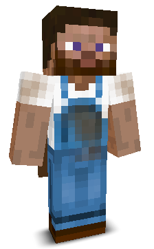 User's Minecraft appearance