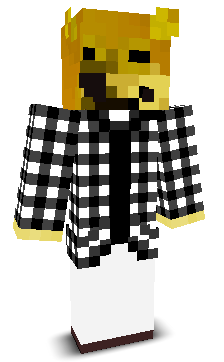 User's Minecraft appearance
