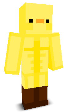 User's Minecraft appearance