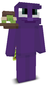 User's Minecraft appearance