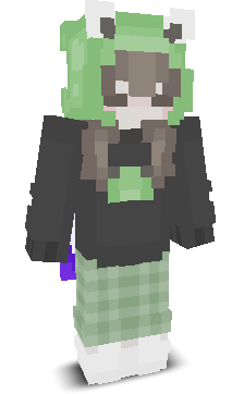 User's Minecraft appearance