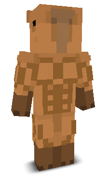 User's Minecraft appearance