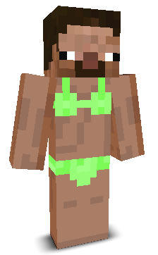 User's Minecraft appearance