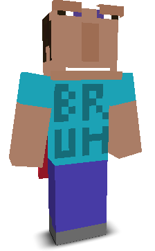 User's Minecraft appearance