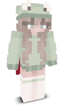 User's Minecraft appearance