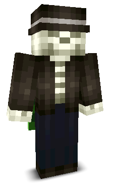 User's Minecraft appearance