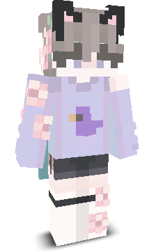 User's Minecraft appearance