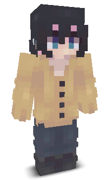 User's Minecraft appearance