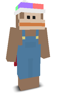 User's Minecraft appearance