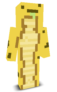 User's Minecraft appearance
