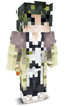 User's Minecraft appearance