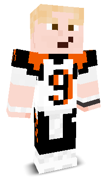 User's Minecraft appearance