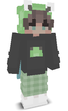 User's Minecraft appearance