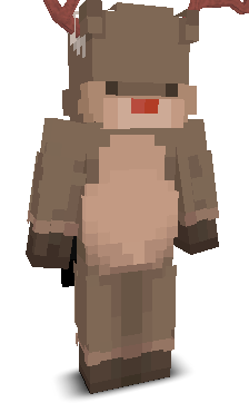 User's Minecraft appearance