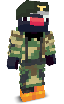 User's Minecraft appearance