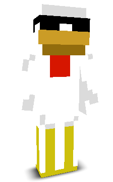 User's Minecraft appearance