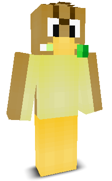 User's Minecraft appearance