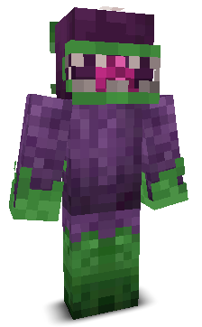User's Minecraft appearance