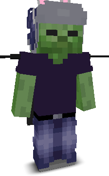 User's Minecraft appearance