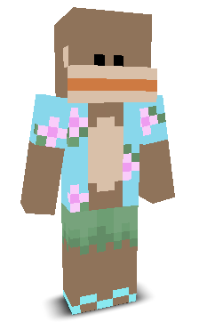 User's Minecraft appearance