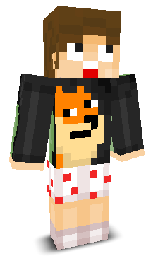 User's Minecraft appearance