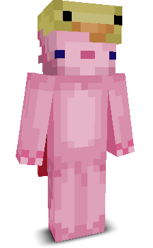 User's Minecraft appearance