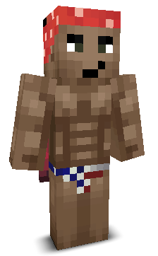 User's Minecraft appearance
