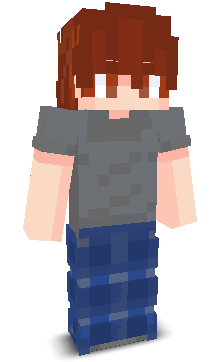 User's Minecraft appearance