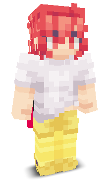 User's Minecraft appearance