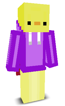 User's Minecraft appearance