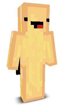 User's Minecraft appearance
