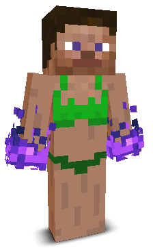 User's Minecraft appearance