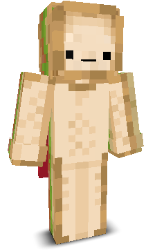 User's Minecraft appearance