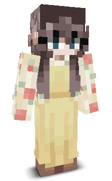 User's Minecraft appearance