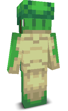 User's Minecraft appearance