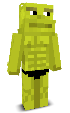 User's Minecraft appearance