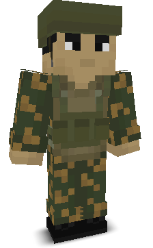 User's Minecraft appearance