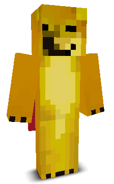 User's Minecraft appearance