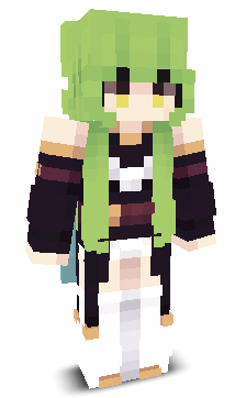 User's Minecraft appearance