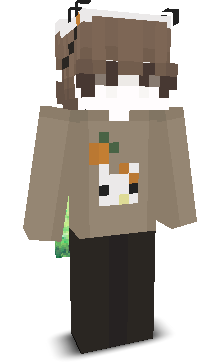User's Minecraft appearance