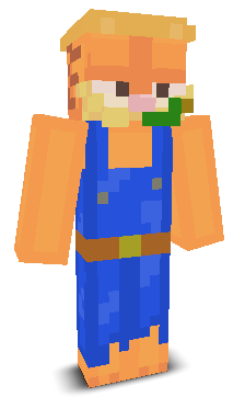 User's Minecraft appearance