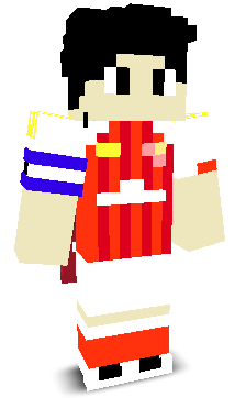 User's Minecraft appearance