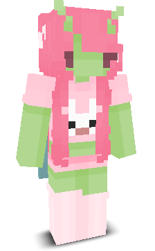 User's Minecraft appearance