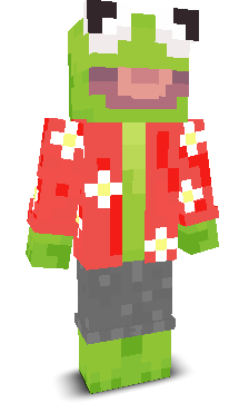 User's Minecraft appearance