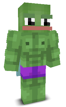 User's Minecraft appearance