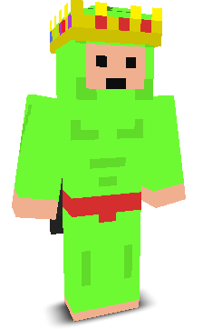 User's Minecraft appearance