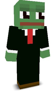 User's Minecraft appearance