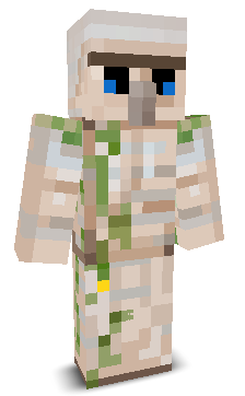 User's Minecraft appearance