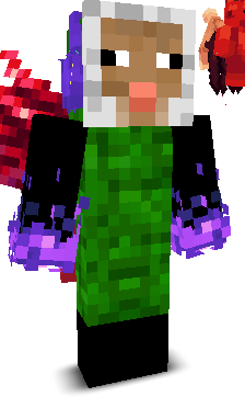 User's Minecraft appearance