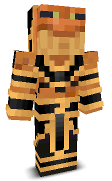 User's Minecraft appearance